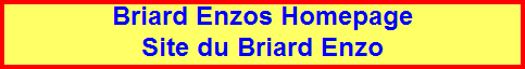 Briard Enzos Homepage        Site du Briard Enzo